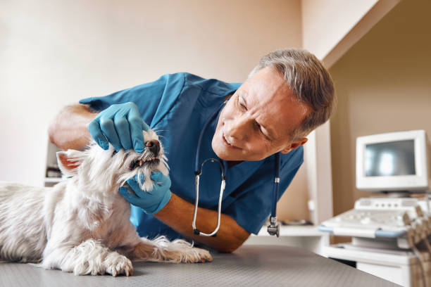 Best Emergency Treatment for Jaw Pain or Injury in Farmville, VA